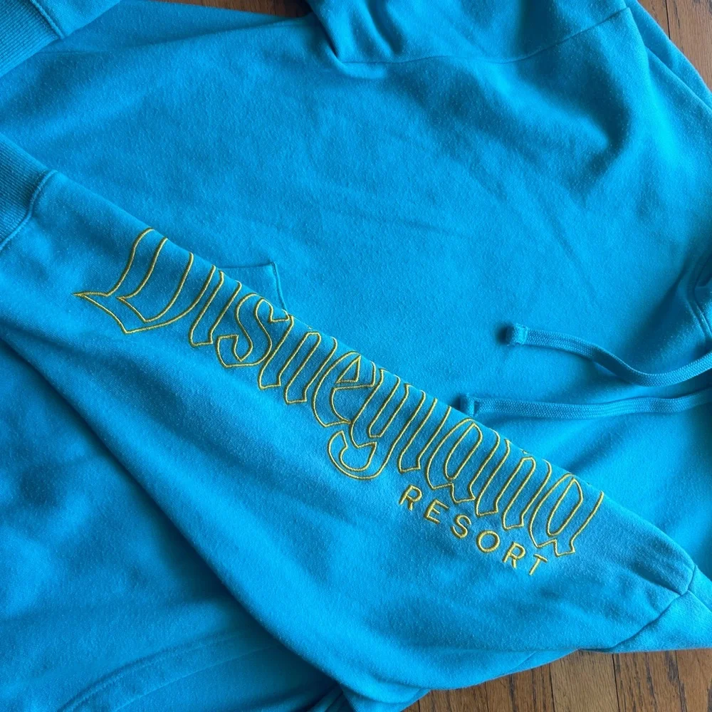 Disney Year 2022 Hoodie Men Size Large - Picture 7 of 11